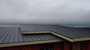 Best Cold Roofs  in Murray, UT